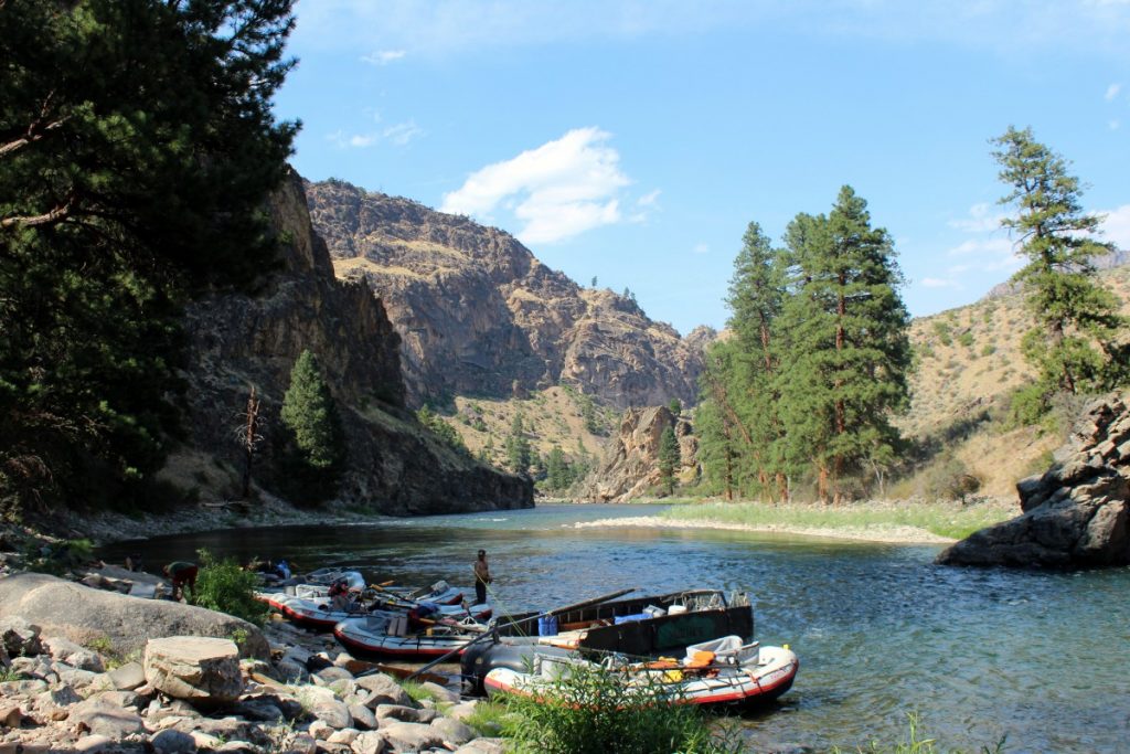 Middle Fork of the Salmon Rafting Trip & Fishing Trips