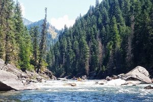 Selway River