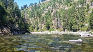 selway river expedition