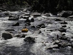 selway river trip