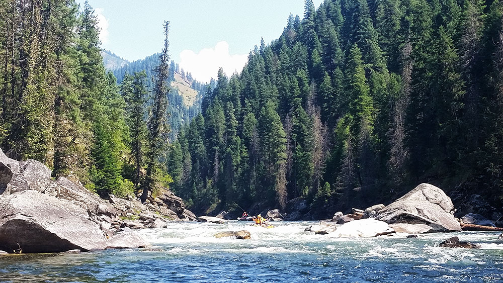 Selway River Trip Idaho - Hughes River Expeditions