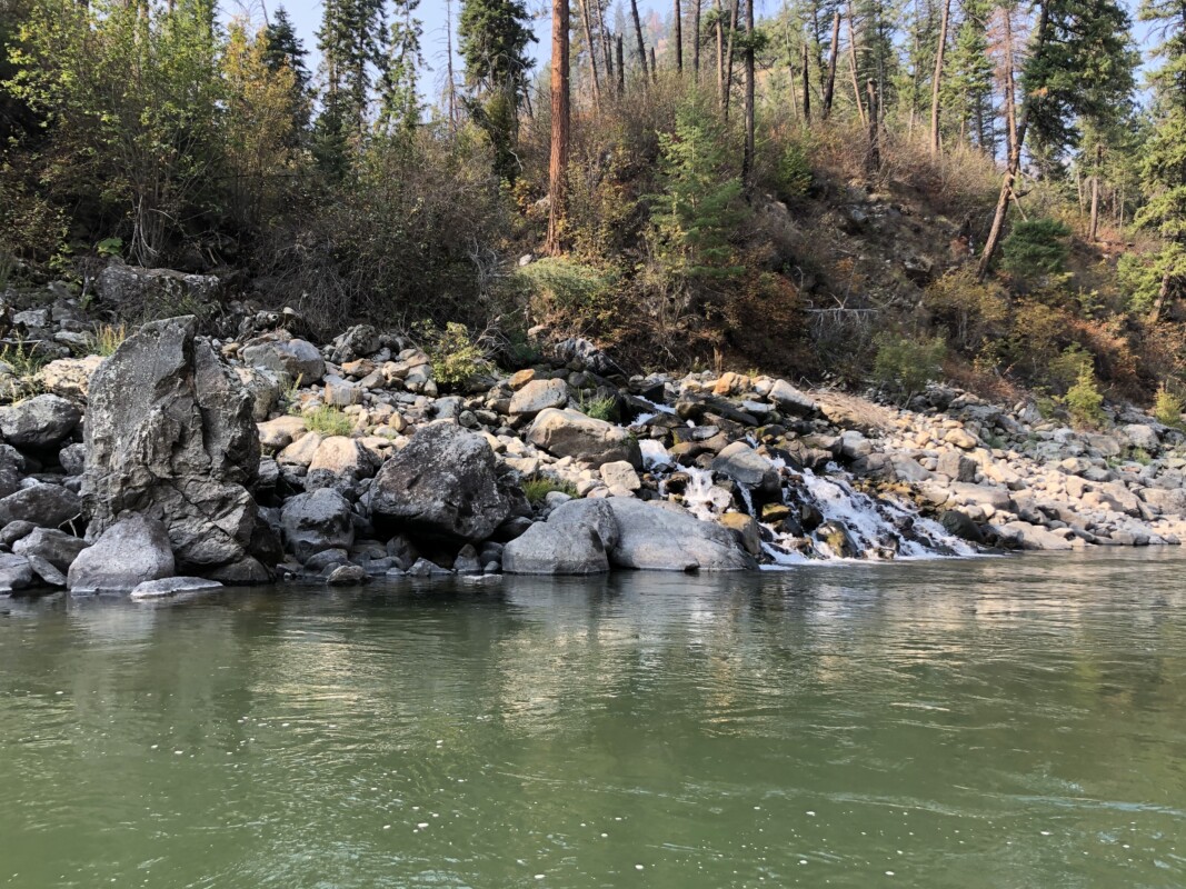 creek main salmon river