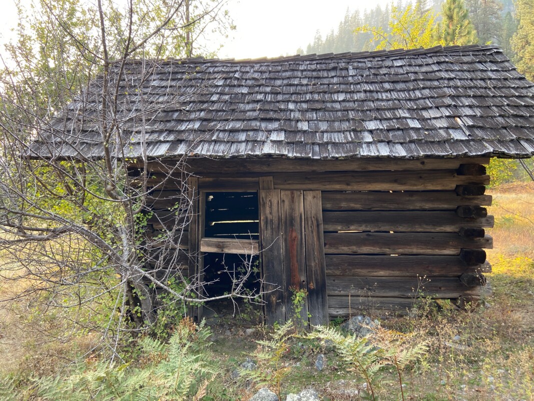 historic cabin main salmon 3