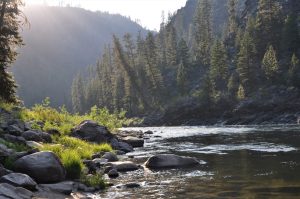 beautiful shot from camp MS pic 2