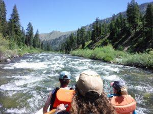 MFS looking downstream