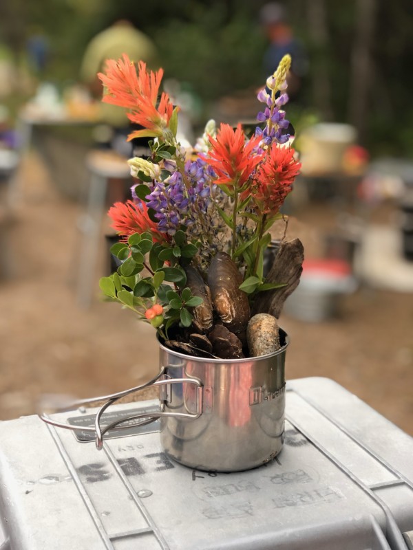 Selway-Bitterroot Wilderness bouquet