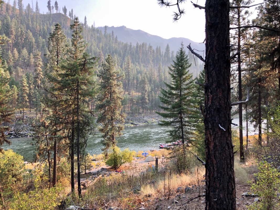 camp pic main salmon river